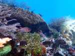 Raja ampat Beauty islands, fishes & reefs (16)